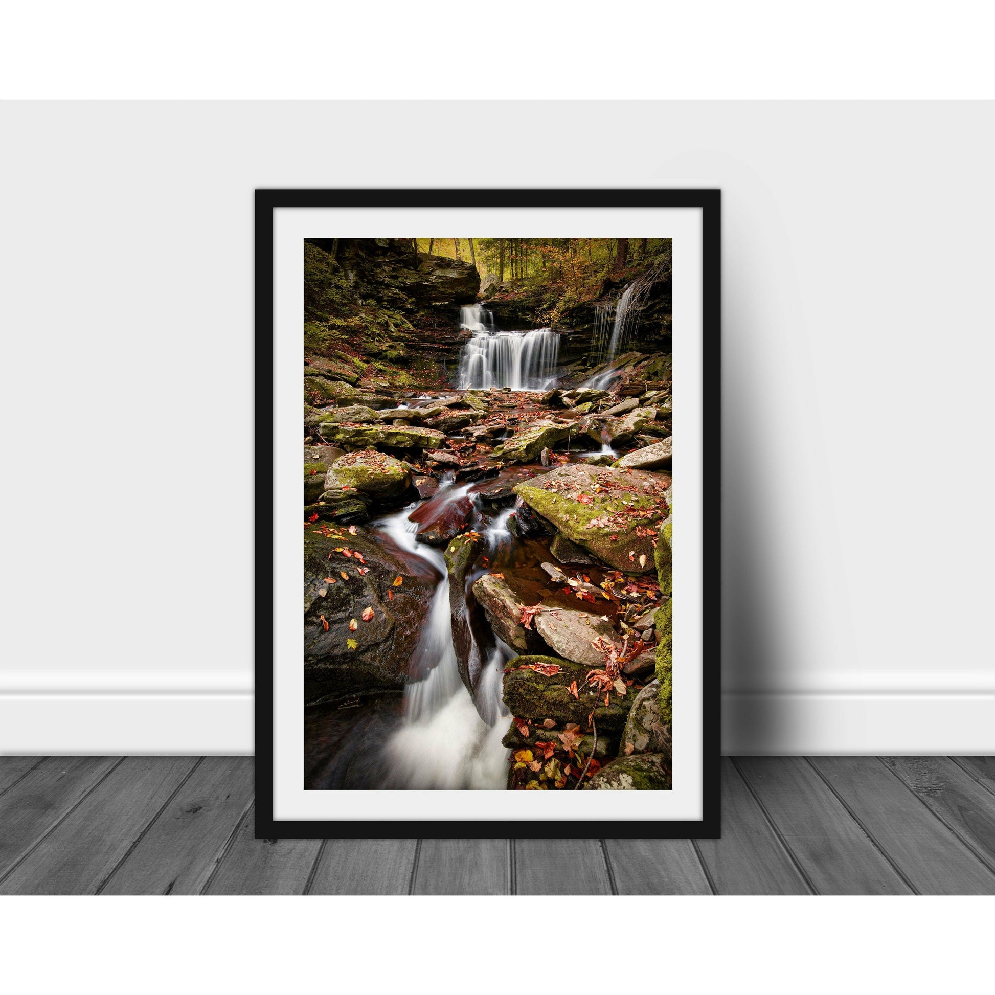 Ricketts Glenn Waterfall #4 - Scott Krycia Photography