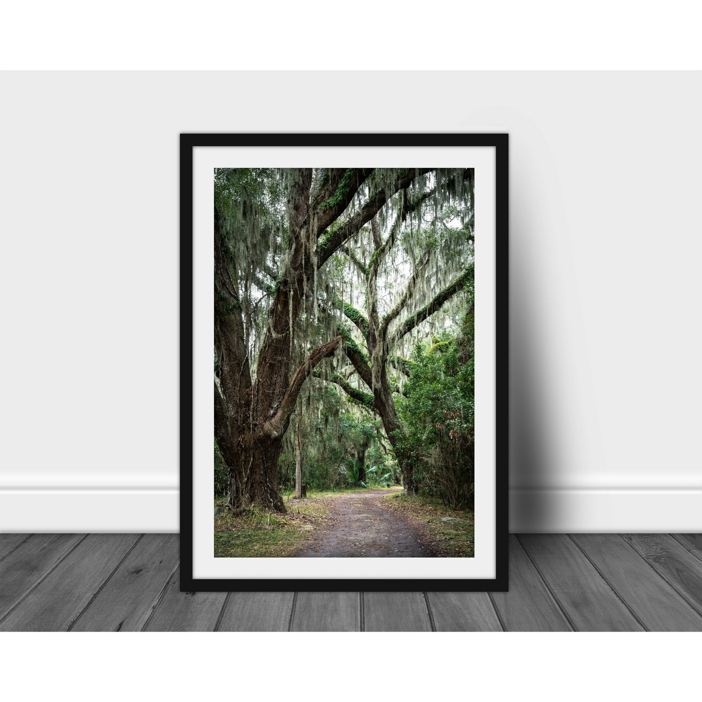 Jekyll Island #2 - Scott Krycia Photography