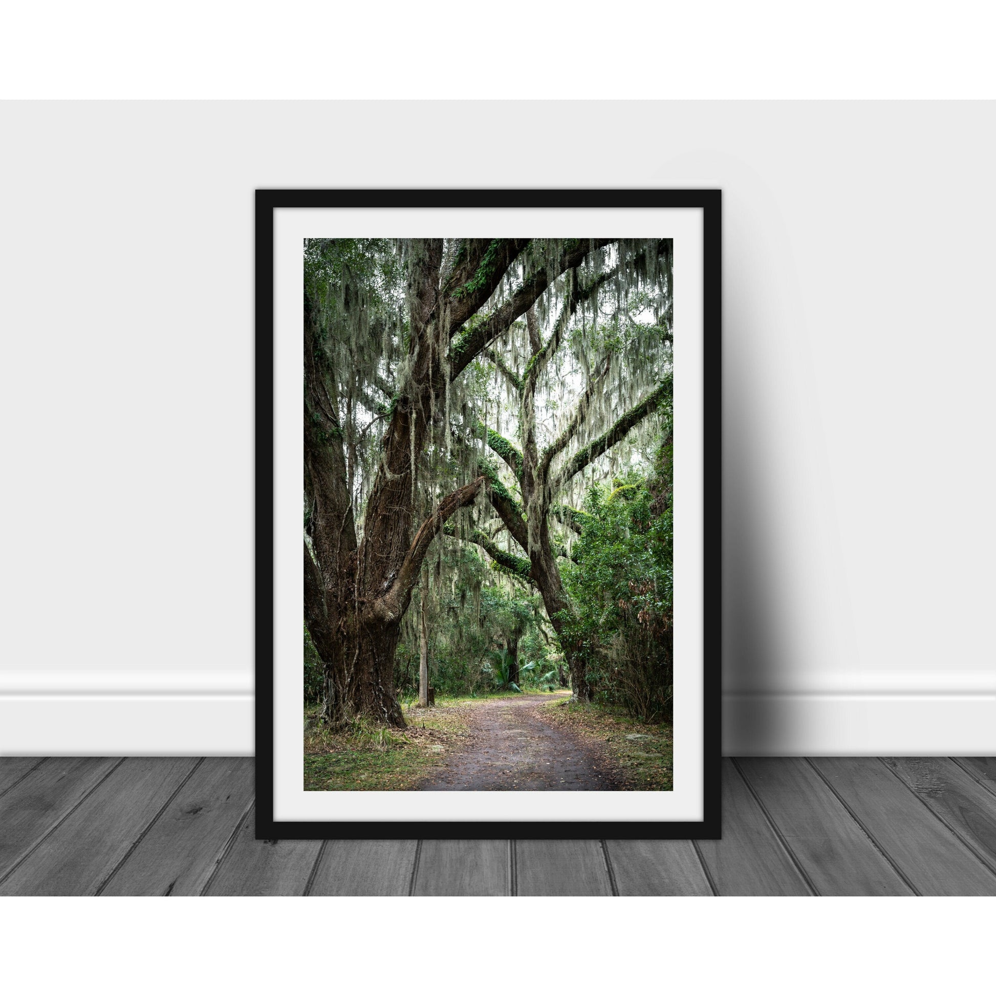 Jekyll Island #2 - Scott Krycia Photography