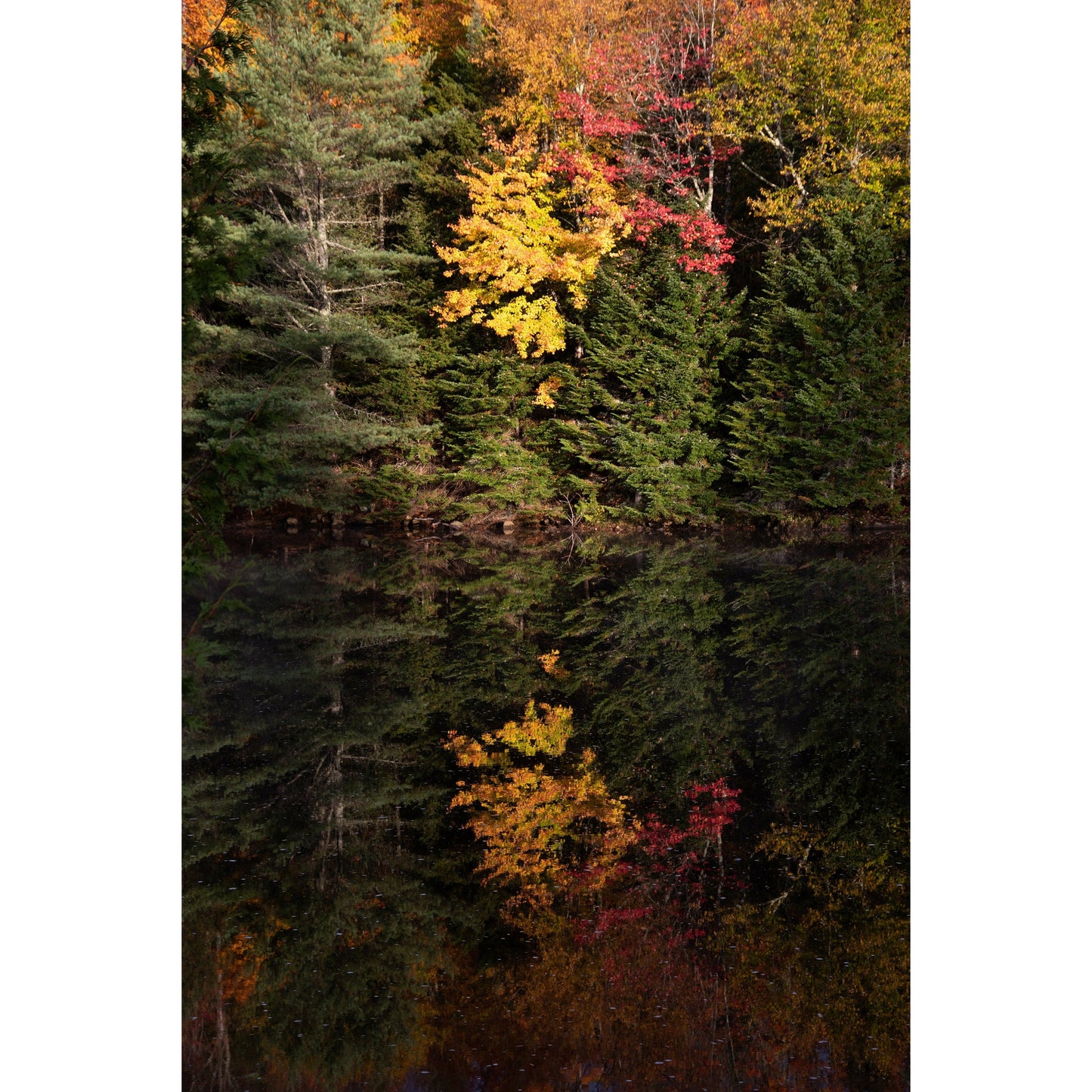 Lake Color - Scott Krycia Photography