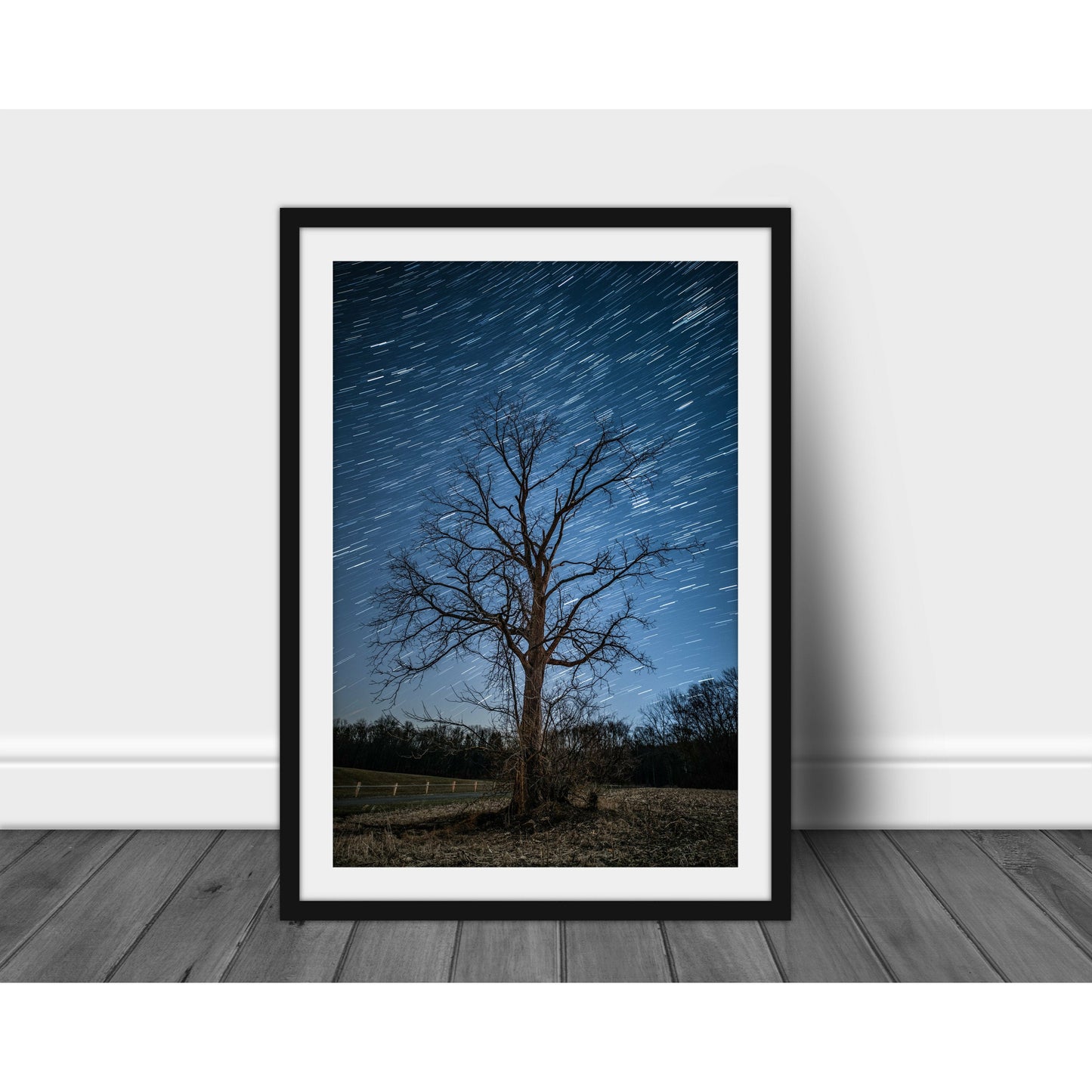 Trails - Scott Krycia Photography