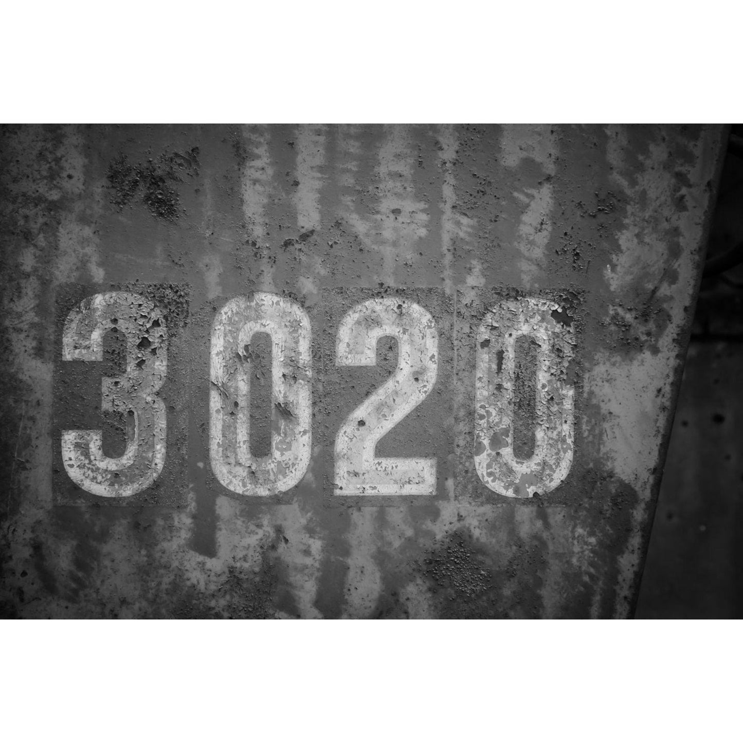 3020 - Scott Krycia Photography