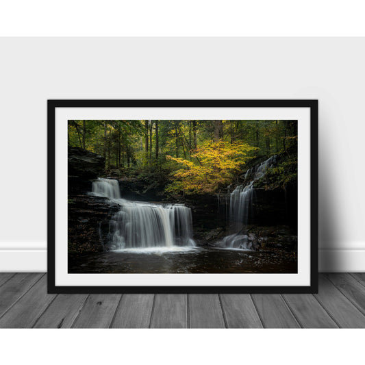 Ricketts Glenn #2 - Scott Krycia Photography