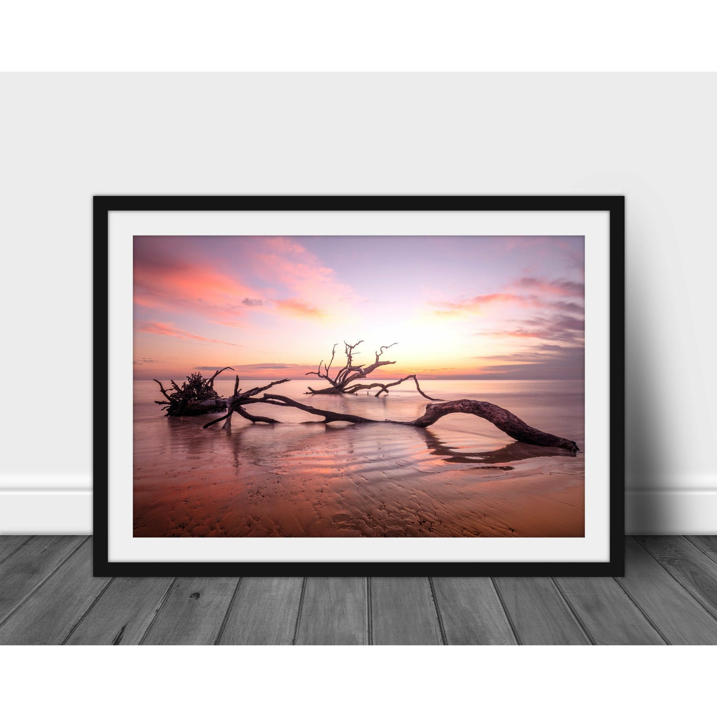 Old Tree - Scott Krycia Photography