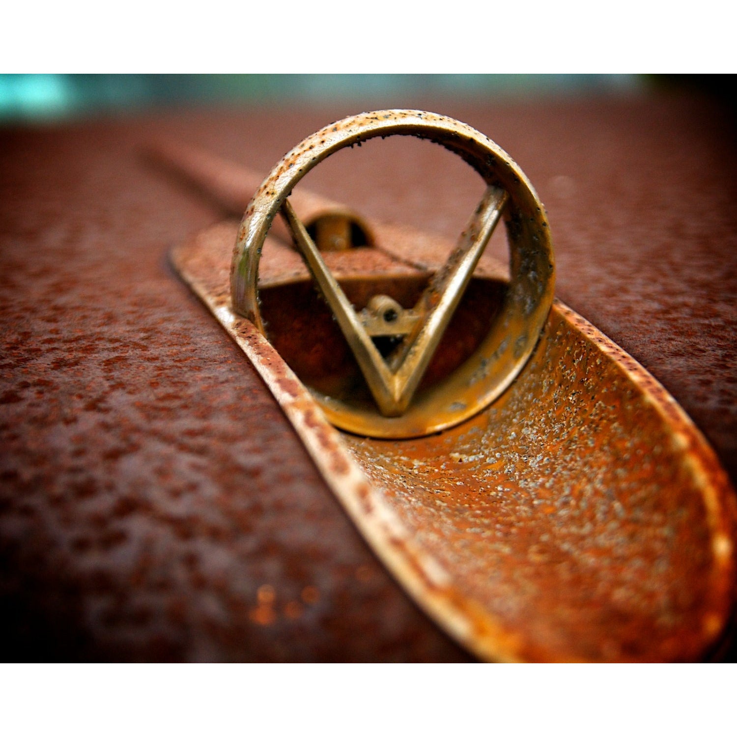 V - Scott Krycia Photography