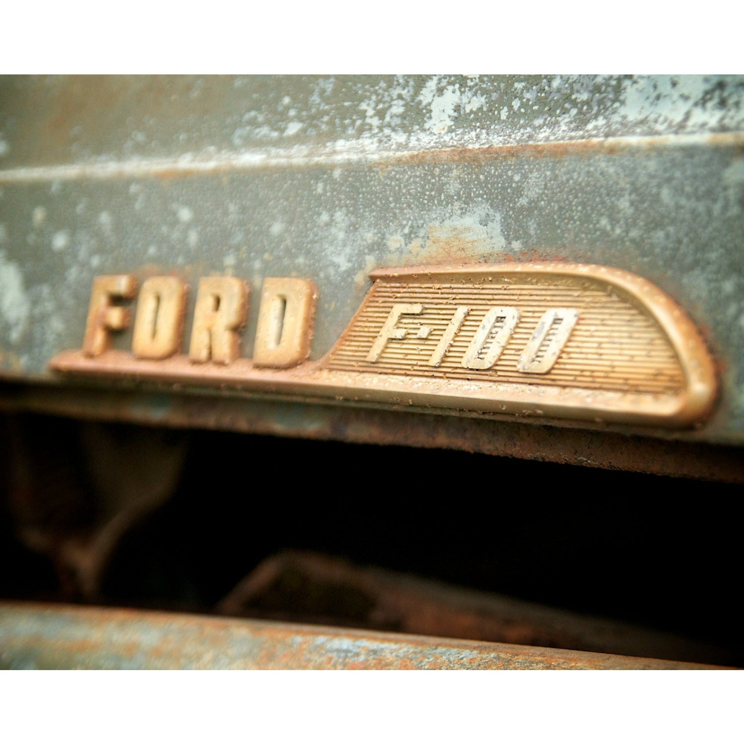 F100 - Scott Krycia Photography