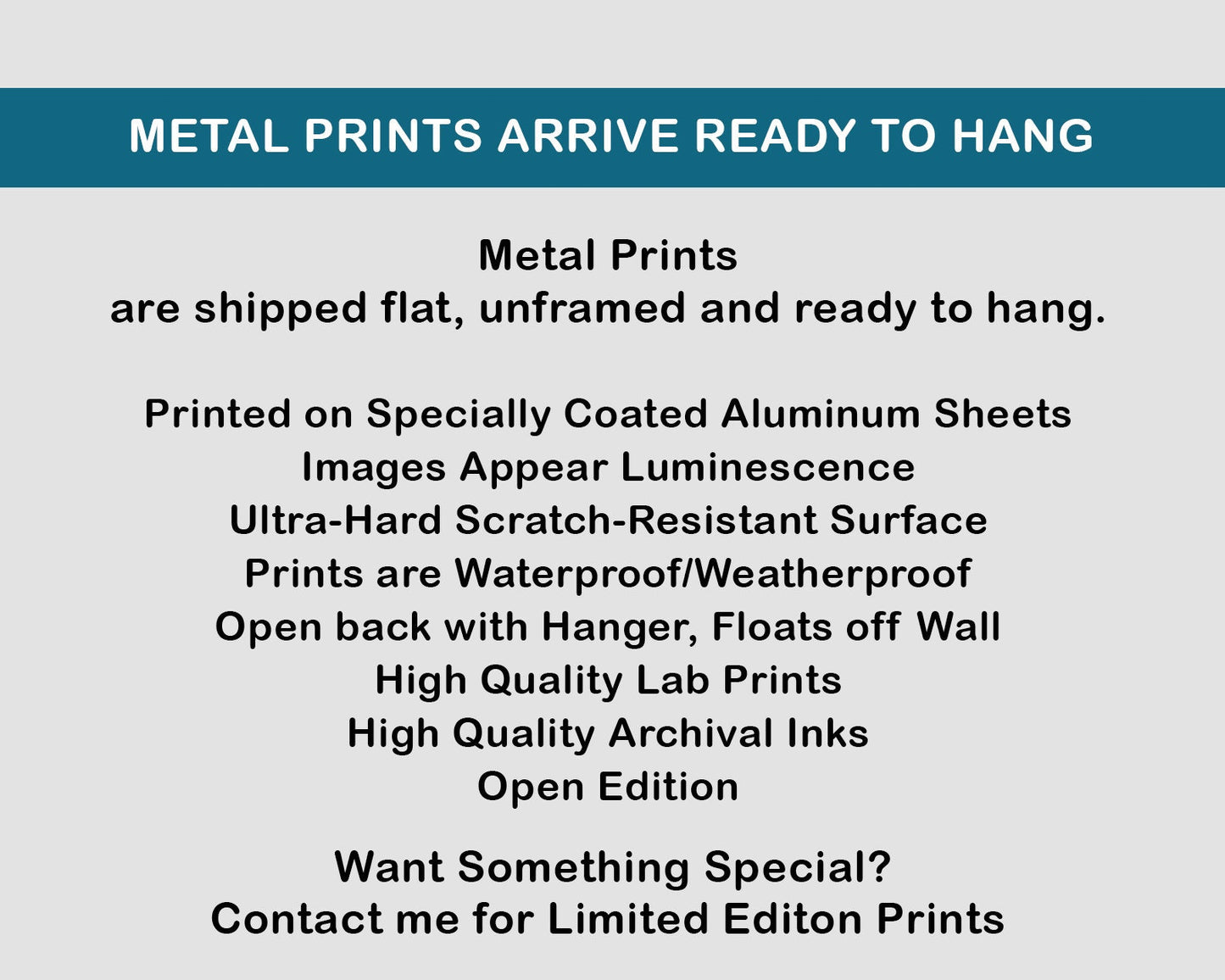 Hudson Hornet, 1950's Antique Car, Car Emblem, Vintage Blue Car, Rusted Metal, Man Cave Wall Art, Mancave Decor, Custom Artwork,Husband Gift