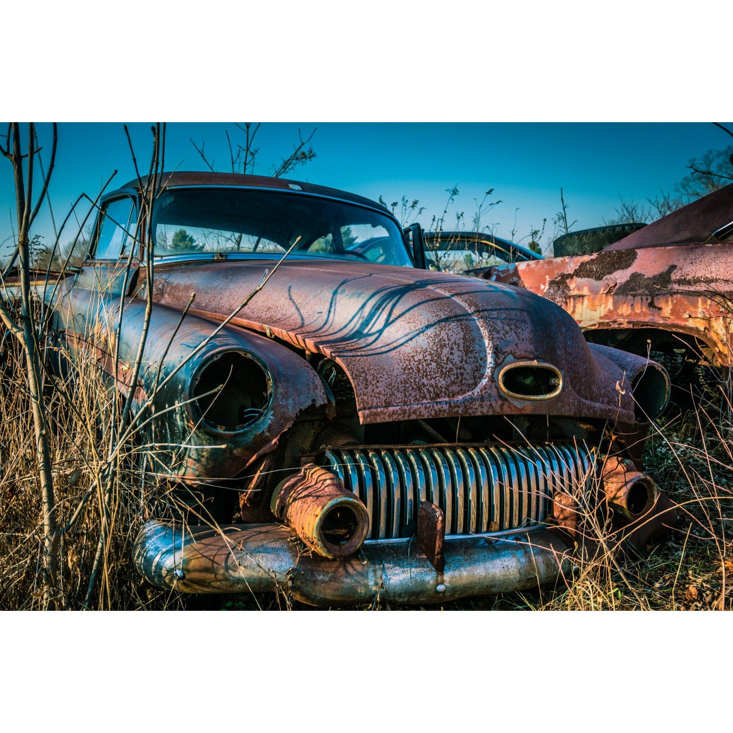 Rusted - Scott Krycia Photography
