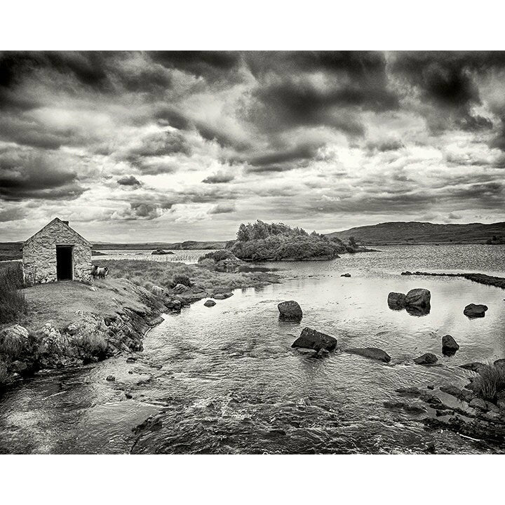 Sheep Shed - Scott Krycia Photography