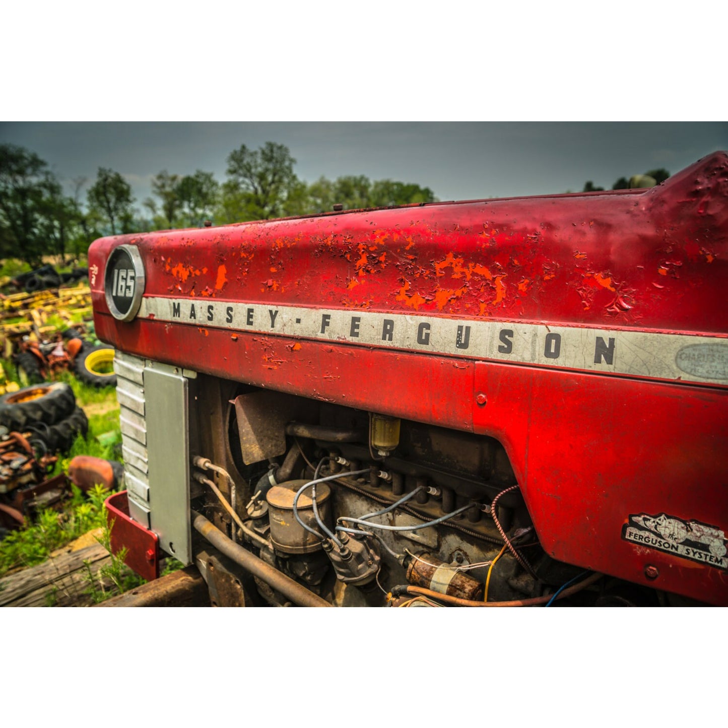 Massey - Scott Krycia Photography