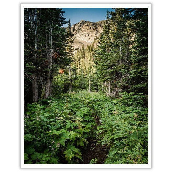 Poi Lake Pass - Scott Krycia Photography