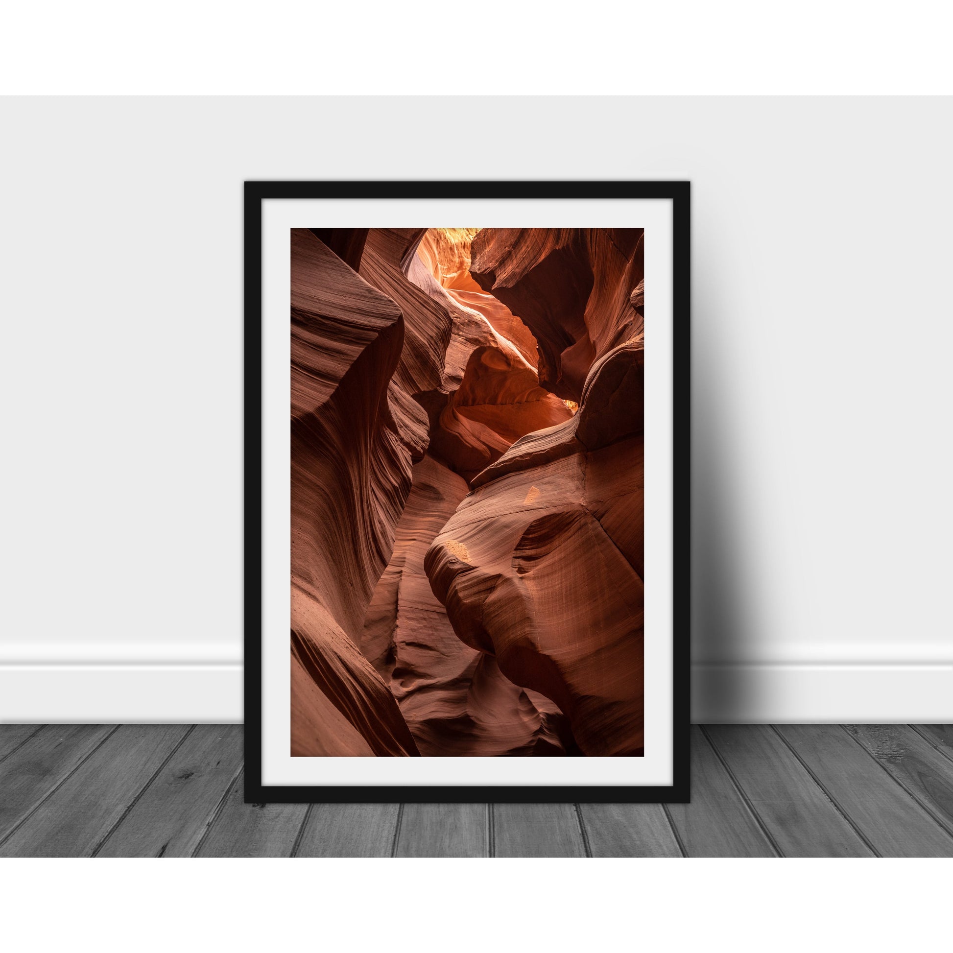 Antelope #2 - Scott Krycia Photography