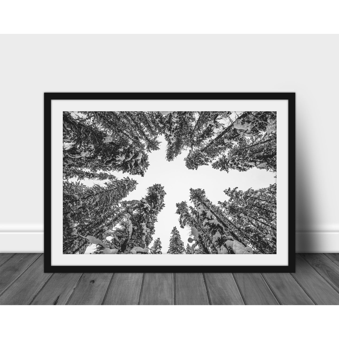 Winter Trees - Scott Krycia Photography