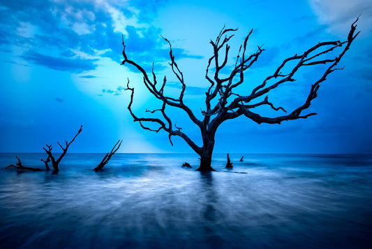 Mastering Landscape Photography On The Beach at Jekyll Island