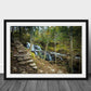 Ricketts Glenn Waterfall, Pennsylvania Photography Silver Art Print, Landscape Photography, Waterfall Art, Mountain Wall Art