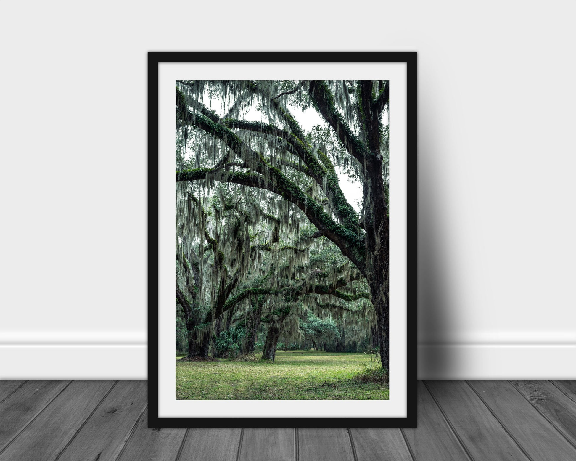 Jekyll Island - Moss Covered Trees, Nature Photography, Tree Art Print, Forest Print,Digital Print,Gift for Hiker,Wall Decor,Housewarming