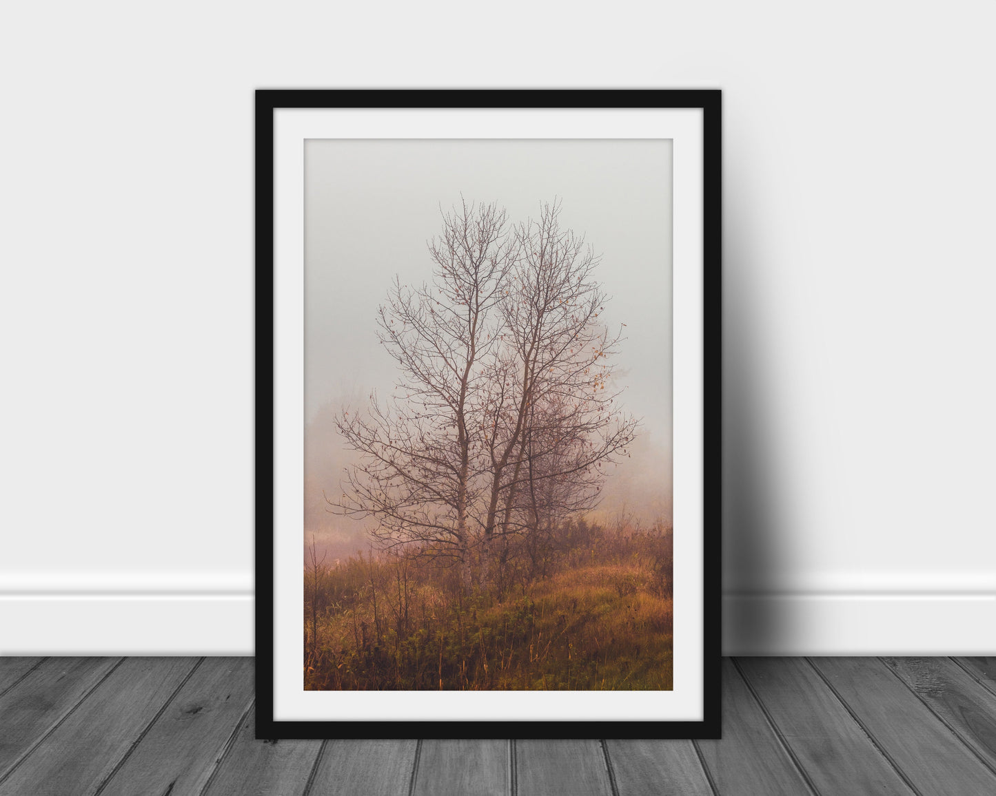 Foggy Morning - Adirondack Mountains, Nature Art Prints, Tree Photography, Lovely Woods, Forest Print, Gift for Hiker, Nature Lover Gift