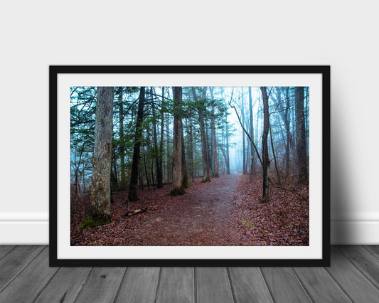 Foggy Path - Jacobsburg State Park, Nature Art Prints, Tree Photography, Lovely Woods, Forest Print, Gift for Hiker, Nature Lover Gift