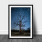Old Tree and Star Trails, Night, Milky Way, Nature Photography Prints, Adventure Print, Landscape Wall Art