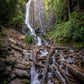Mingo Falls Photography Print - North Carolina Photography, Landscape Photography, Waterfall Photo