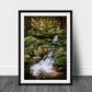 Hoh Rain Forest, Olympic National Park Photography, Silver Art Print, Landscape Photography, Waterfall Art, Mountain Wall Art