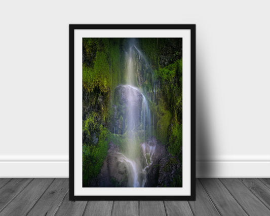 Hoh Rain Forest, Olympic National Park Photography, Silver Art Print, Landscape Photography, Mountain Wall Art