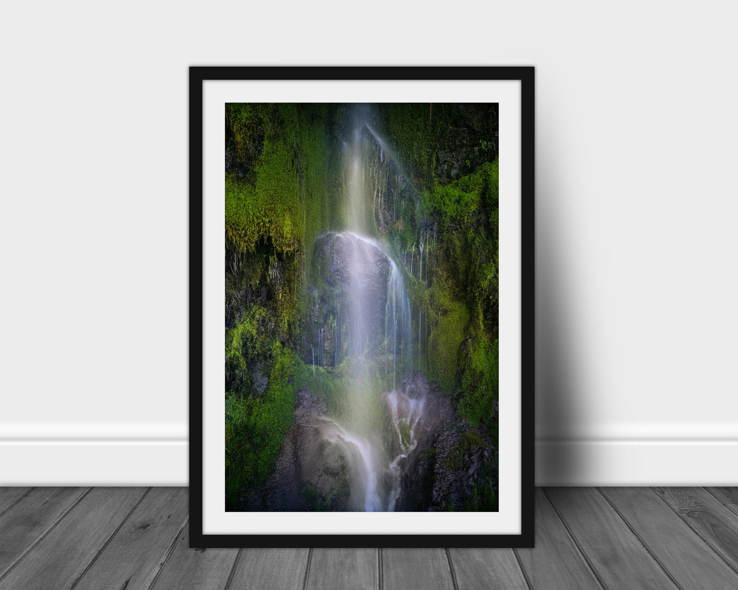 Hoh Rain Forest, Olympic National Park Photography, Silver Art Print, Landscape Photography, Mountain Wall Art