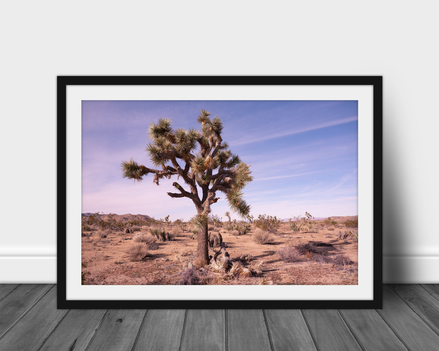 Fine Art Joshua Tree Desert Sunset Print - California National Park, Pastel Landscape Photography, Wall Decor