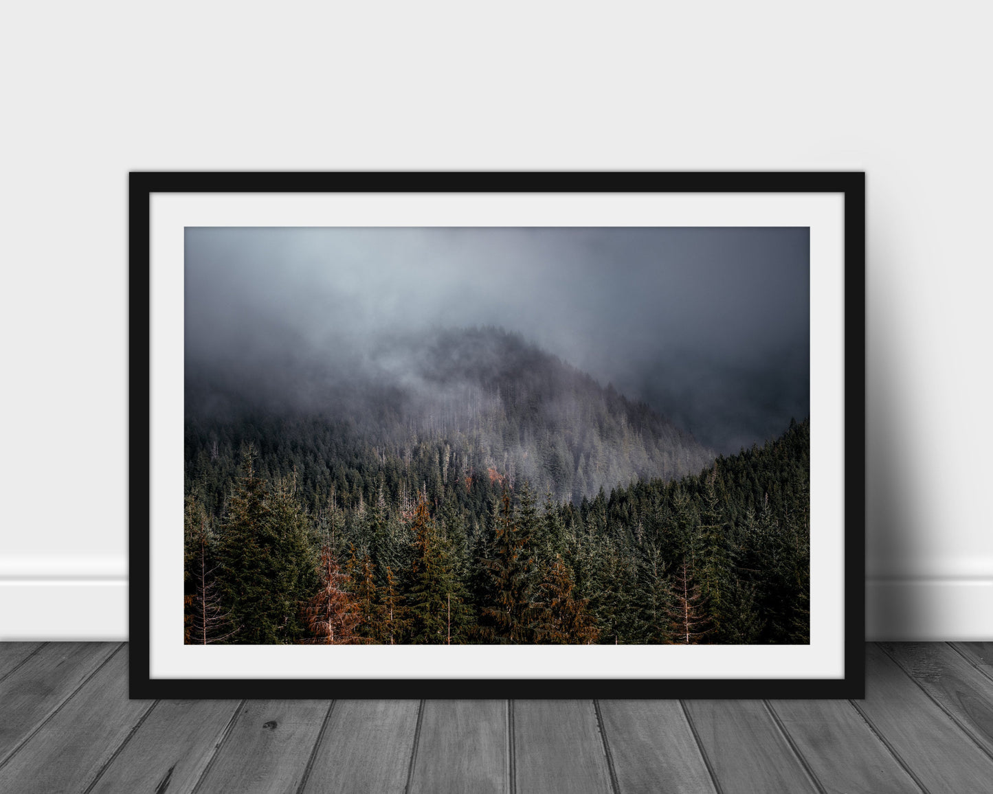 Misty Forest Print - Olympic National Park Mountain Fog Landscape Pine Trees Framed Fine Art Photography Home Wall Decor